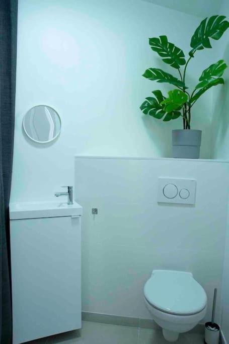 Appartement 5Min Aeroport Cdg Le Mesnil-Amelot ภายนอก รูปภาพ